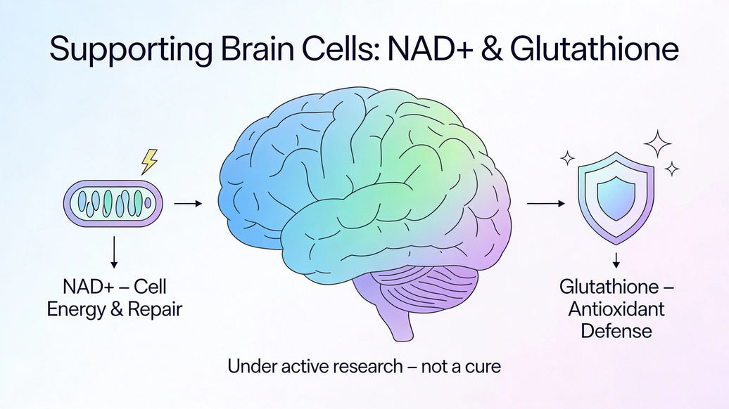 NAD⁺ & Glutathione: Emerging Allies in Fight Against Alzheimer’s