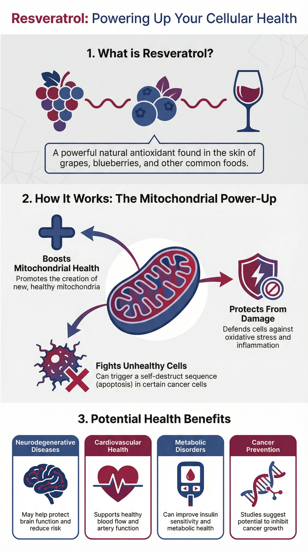 Resveratrol: Therapeutic Potential in Mitochondrial Dysfunction