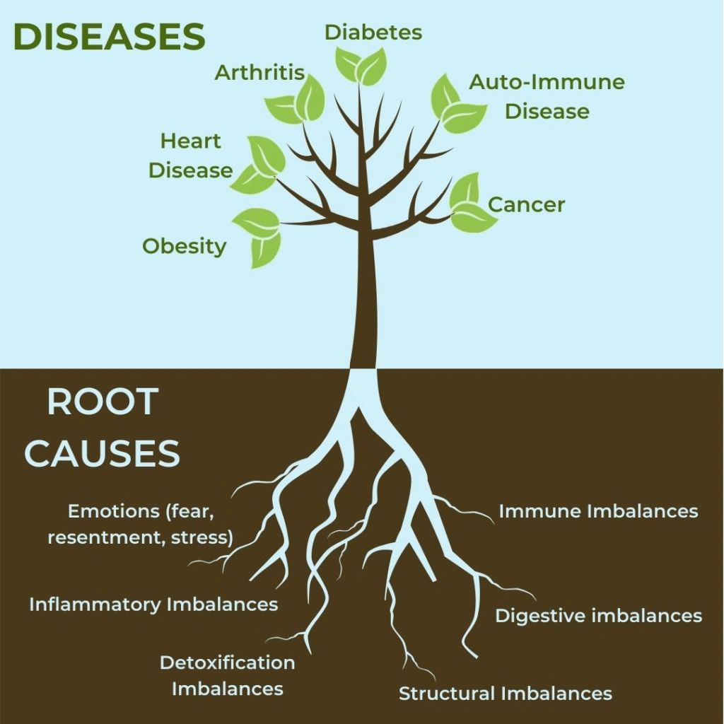 What is Functional Medicine?