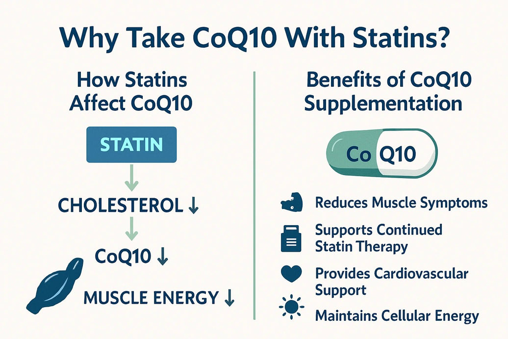 Why You Should Consider Taking CoQ10 With Your Statin Medication